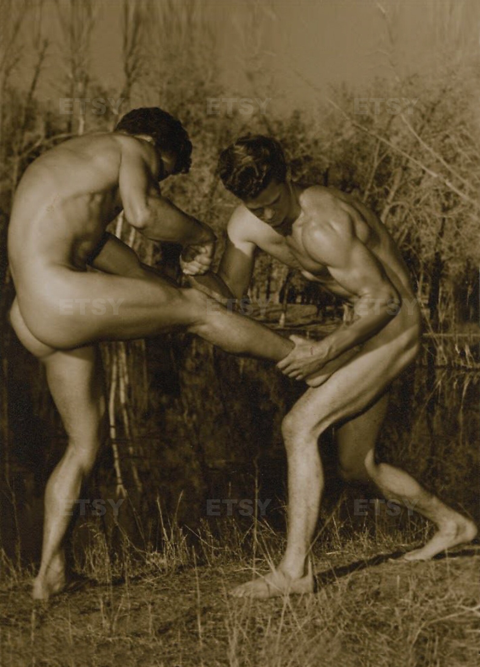 Naked Boys Wrestling