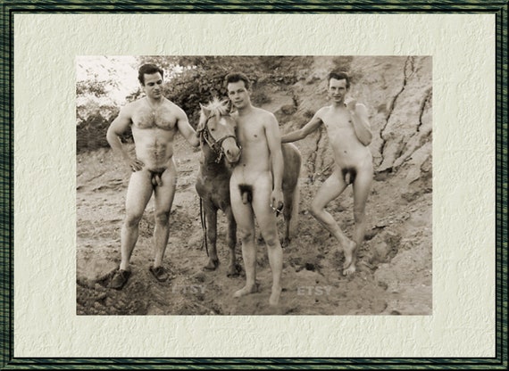Vintage Beefcake Sex Videos - Vintage Old Photo gay erotic 1950s Male Nude beefcake Gay group Photograph  Print Naked Man Gay Interest Full Frontal Nudity penis 6011