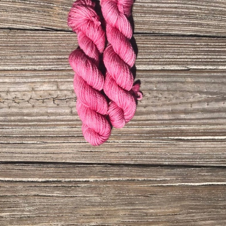 80 Merino 20 Nylon Hand Dyed Yarn Mini Skein Finch Fingering Weight Hand Dyed Yarn Rose Mulesing Free Merino