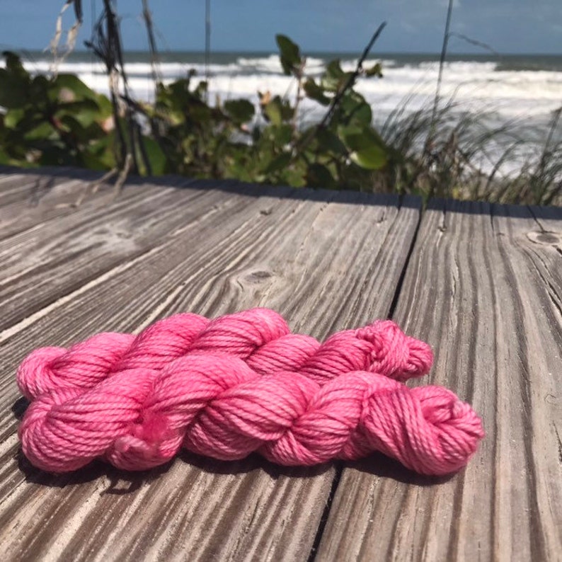 80 Merino 20 Nylon Hand Dyed Yarn Mini Skein Finch Fingering Weight Hand Dyed Yarn Rose Mulesing Free Merino