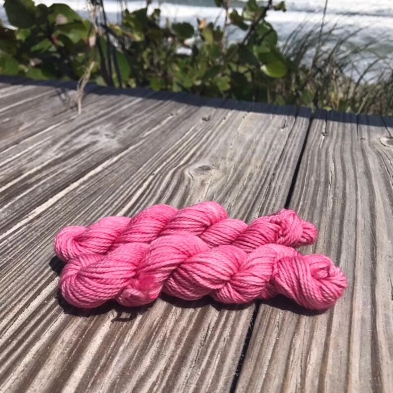 80 Merino 20 Nylon Hand Dyed Yarn Mini Skein Finch Fingering Weight Hand Dyed Yarn Rose Mulesing Free Merino