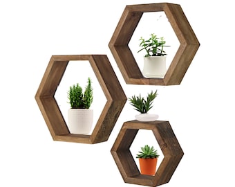 3 Hexagon Shelves - Honeycomb shelves - Geodesic Shelves -Hexagon Shelf - Hexagon Shelves - honeycomb shelf - floating shelf