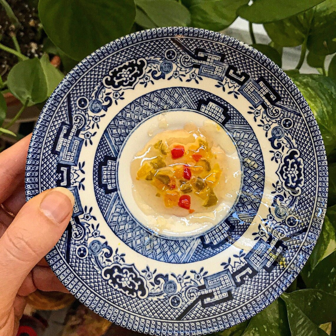 Jamaican Pepper Jelly Homemade Jelly Food Gift Etsy