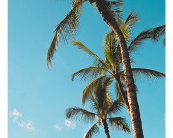 Beach Palm Tree Photo Sticker – Tropical Scrapbooking, Planner