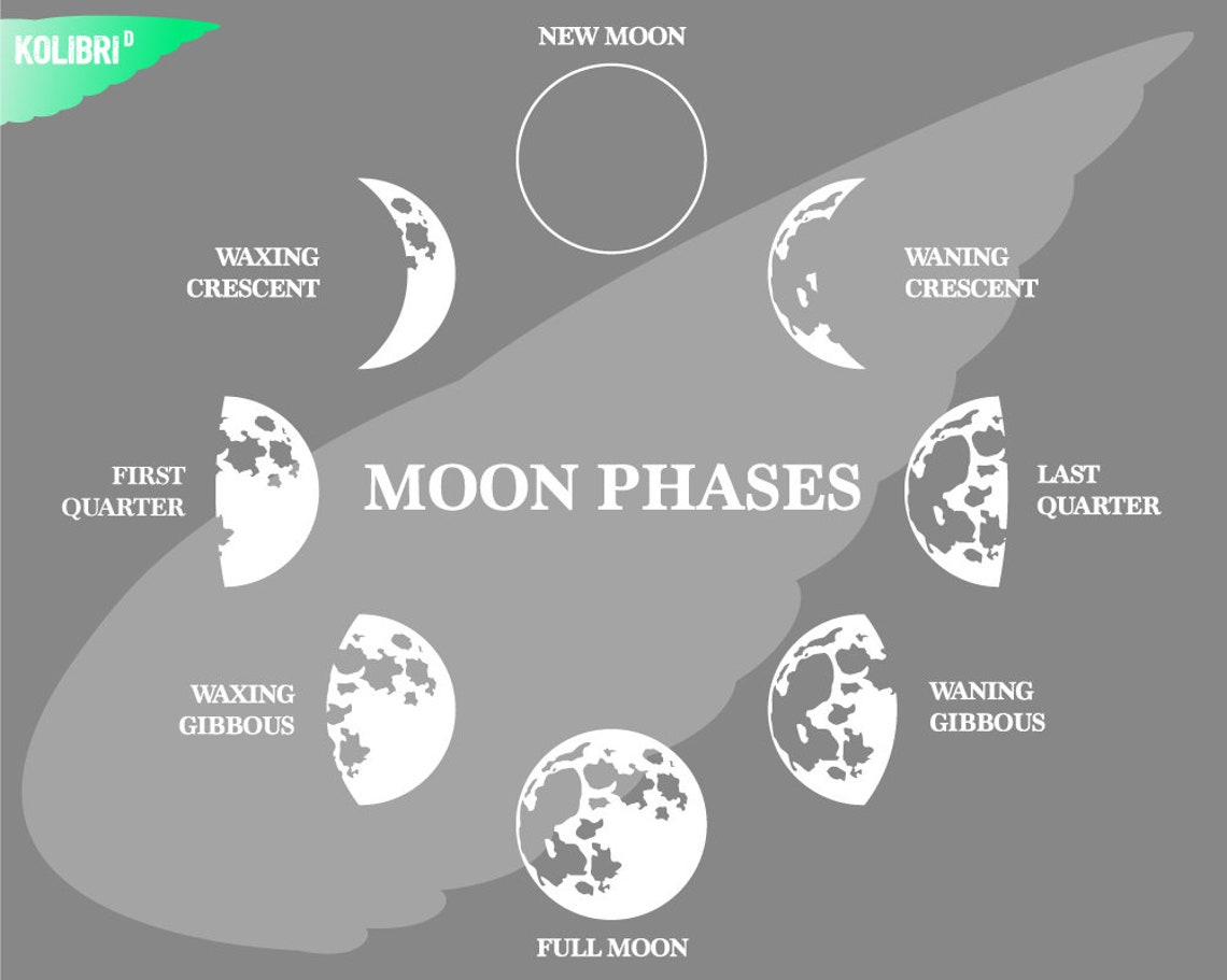 Moon Phases Svg Moon Phases Clipart Moon Svg Lunar Svg - Etsy