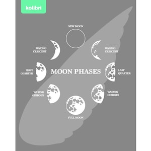 Maanfasen svg – maanfasen clipart – maan svg – maan svg – halve maan svg – maanstanden – diagram svg – eps png, dxf, pdf, svg voor de cricut