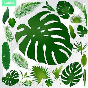 Leaf svg – Leaves svg – Leaf clipart – Monstera svg – Tropical leaves svg – Tropical party – eps, png, dxf, pdf, svg for cricut, sublimation