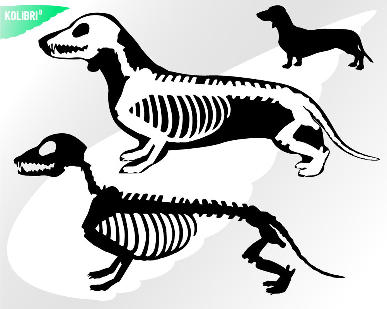 Dachshund Svg Dachshund Skeleton Svg Dachshund Clipart Etsy