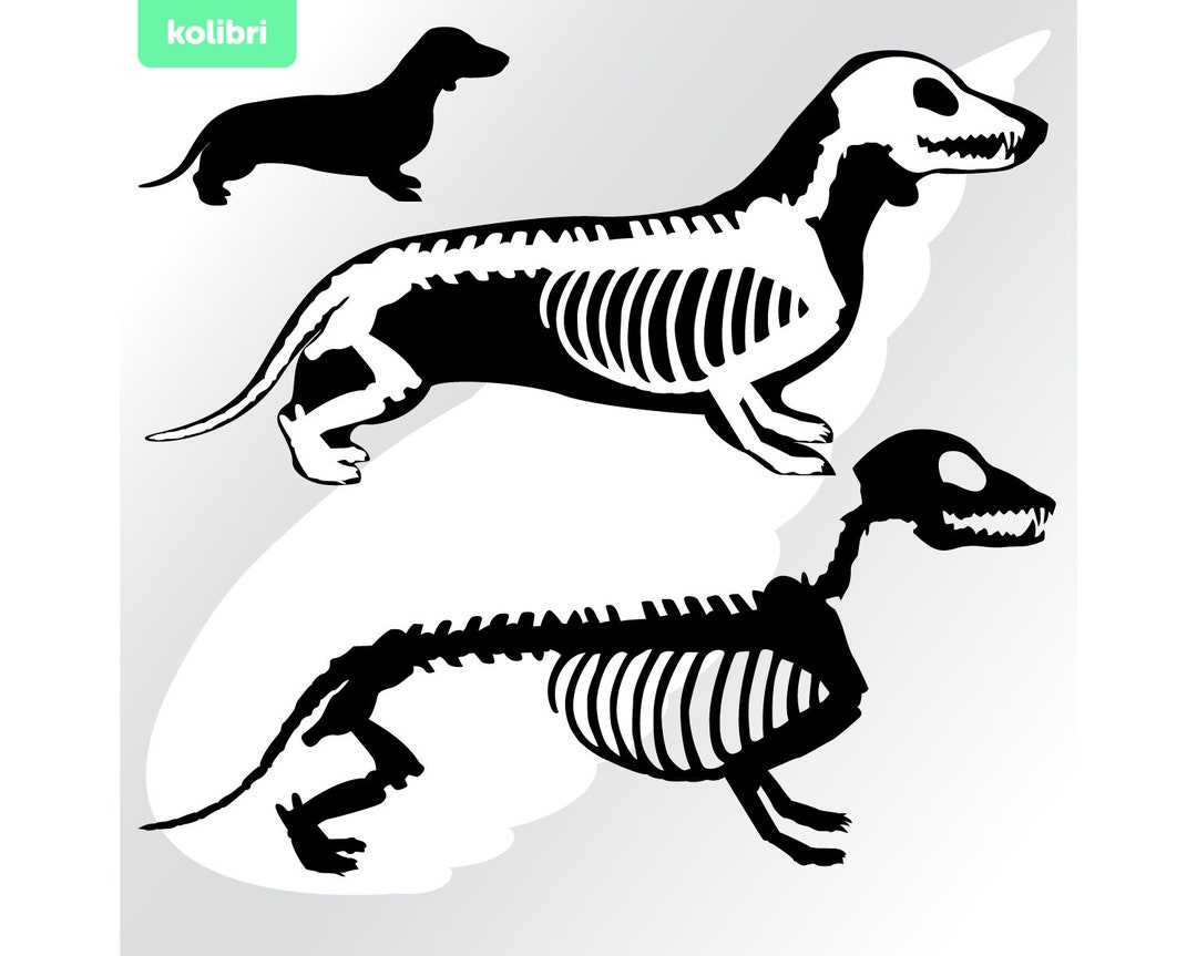 Dachshund Svg Dachshund Skeleton Svg Dachshund Clipart Bone Svg Sausage