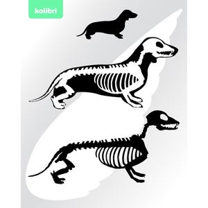 Dachshund svg – Dachshund esqueleto svg – Dachshund clipart – Hueso svg – Perro salchicha svg – Mascota svg – eps, png dxf, pdf, svg para cricut