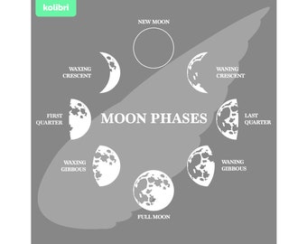 Moon phases svg – Moon phases clipart – Moon svg – Lunar svg – Crescent svg – Lunar phases – Diagram svg – eps png, dxf, pdf, svg for cricut