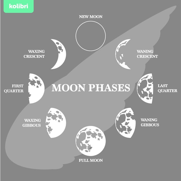 Phases de lune svg – Phases de lune clipart – Lune svg – Lunar svg – Crescent svg – Phases lunaires – Diagramme svg – eps png, dxf, pdf, svg pour cricut