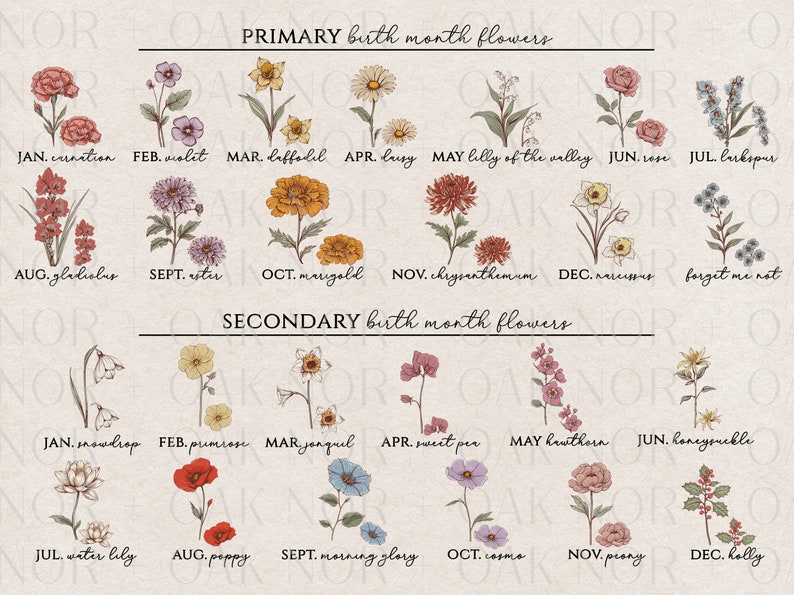 May include: A chart displaying the primary and secondary birth month flowers. The chart is divided into two sections, one for primary flowers and one for secondary flowers. Each month is represented by a flower and its name. The flowers are illustrated in a vintage style.