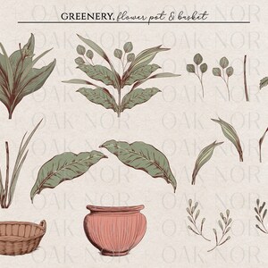 May include: A set of hand-drawn illustrations of greenery, a flower pot, and a basket. The illustrations are in a vintage style and feature various types of leaves, branches, and flowers. The flower pot is terracotta coloured and has a ribbed design. The basket is woven and is brown.