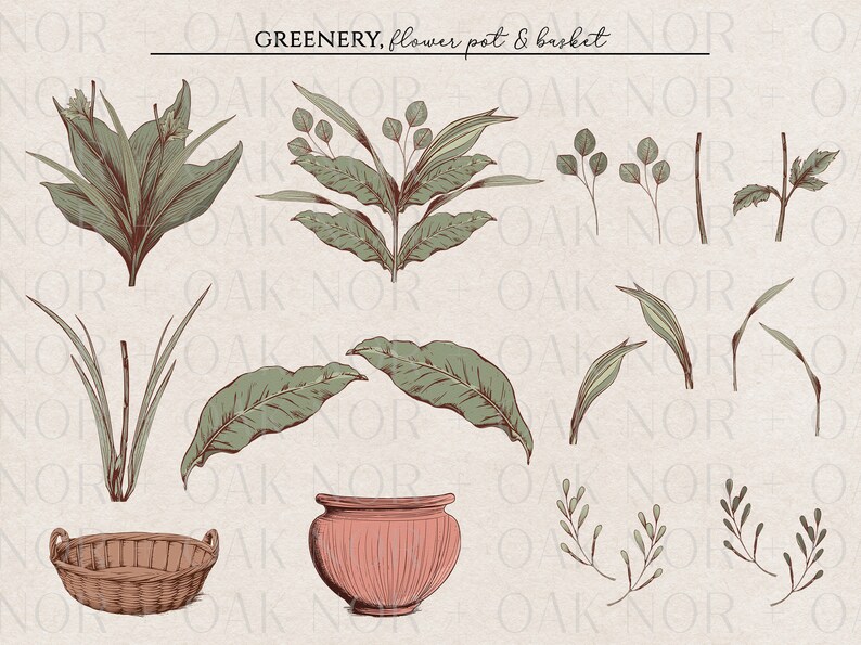 May include: A set of hand-drawn illustrations of greenery, a flower pot, and a basket. The illustrations are in a vintage style and feature various types of leaves, branches, and flowers. The flower pot is terracotta coloured and has a ribbed design. The basket is woven and is brown.