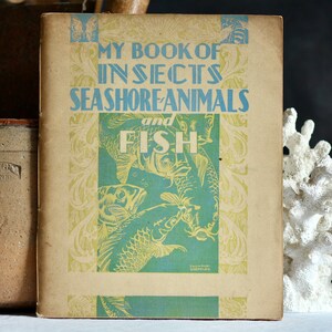 Mid-century study book: My Book of Insects, Seashore Animals and Fish. 1943. Paperback. Educational. Natural biology. Home school. Vintage.