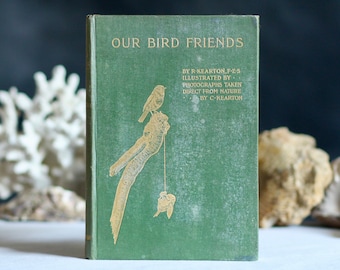 Ancien « Our Bird Friends » de Richard Kearton. 1906. Relié. Conception Art nouveau. Livre animalier. Guide aviaire. Première photographie. édouardien.