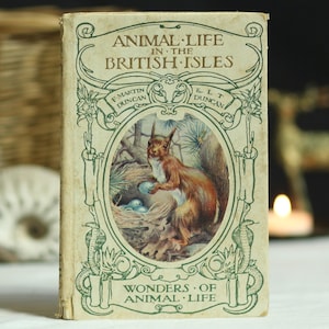 Antique ‘Animal Life in the British Isles’ by FM & LT Duncan. Circa 1920. From ‘The Wonders of Animal Life’ series. Hardback. Photography.