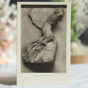Cartolina antica del British Museum: Auriga. Fotografia d'epoca autentica. Scultura greca antica. Interesse classico. Vittoriano. Circa 1890.