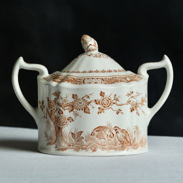 Antique Furnivals ‘Brown Quail’ sugar bowl.  Large size. Fine bone china. No. 684771. Staffordshire. Made in England. Circa 1921.