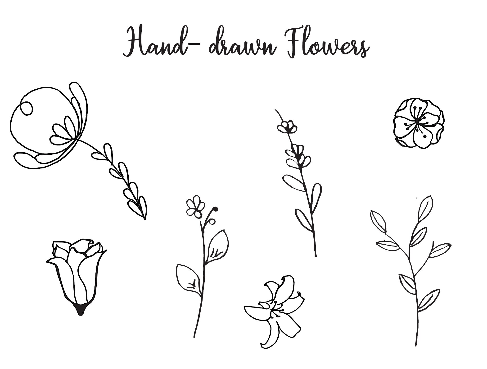 Hand Drawn Stems and Flowers Svg Flowers Hand Drawn Floral Svg Stems