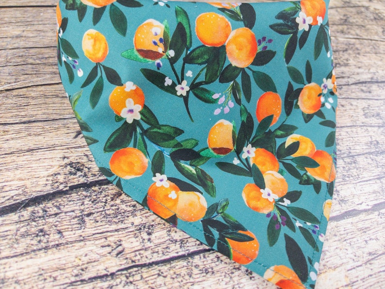 May include: A teal blue bandana with a repeating pattern of orange citrus fruit and white flowers. The bandana is made of fabric and has a stitched edge.