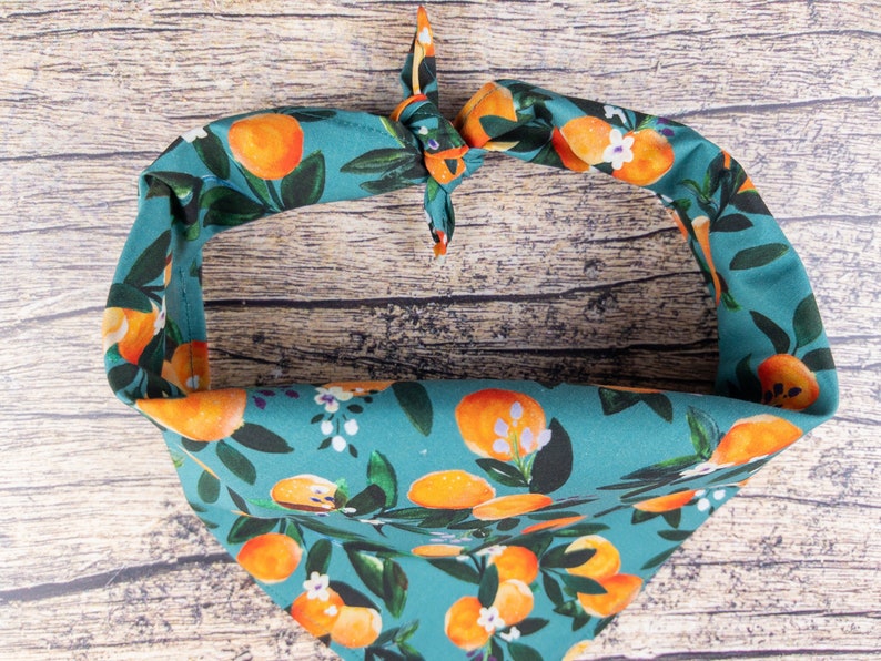 May include: A teal blue bandana with a pattern of orange citrus fruit and white flowers. The bandana is tied in a knot at the top.