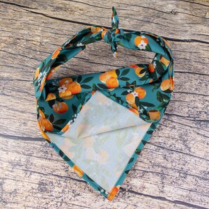 May include: A teal blue bandana with a white and orange floral print featuring oranges and leaves. The bandana is folded in a triangle shape.