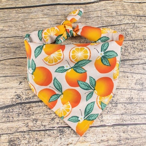 May include: A light pink bandana with a pattern of orange slices and green leaves. The bandana is tied in a knot at the top.