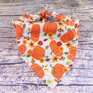 May include: A white and orange dog bandana featuring a repeating pattern of orange pumpkins, yellow and red flowers, and green leaves. The bandana is tied at the top with a knot.