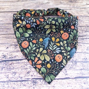 May include: A black pet bandana with a colorful Halloween-themed pattern. The design includes orange pumpkins, blue birds, and various leaves and flowers in shades of green, orange, and yellow. The bandana is made of fabric.