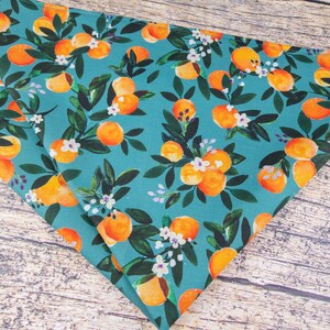 May include: Two teal blue fabric triangle bandanas with a repeating pattern of orange citrus fruit and white flowers.