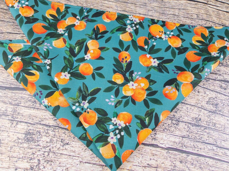 May include: Two teal blue fabric triangle bandanas with a repeating pattern of orange citrus fruit and white flowers.