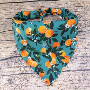 May include: A teal blue bandana with a pattern of orange citrus fruit and white flowers. The bandana is tied in a knot at the top.
