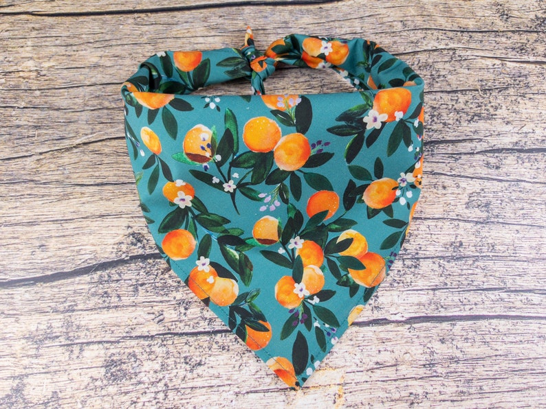 May include: A teal blue bandana with a pattern of orange citrus fruit and white flowers. The bandana is tied in a knot at the top.