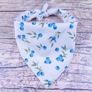 May include: A white dog bandana with a pattern of blue blueberries and green leaves. The bandana is tied at the top and is made of a soft fabric. The background is a wooden surface.