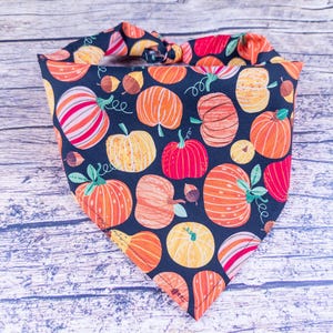 May include: A triangular pet bandana with a dark blue background, adorned with colorful pumpkins, gourds, and acorns. The pumpkins are in shades of orange, red, and yellow, with green vines. The bandana is tied at the top.