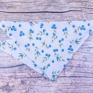 May include: A light blue bandana with a pattern of blueberries and green leaves. The fabric is folded into a triangle shape, with the pattern visible on the front. The bandana is made of a soft, lightweight material.