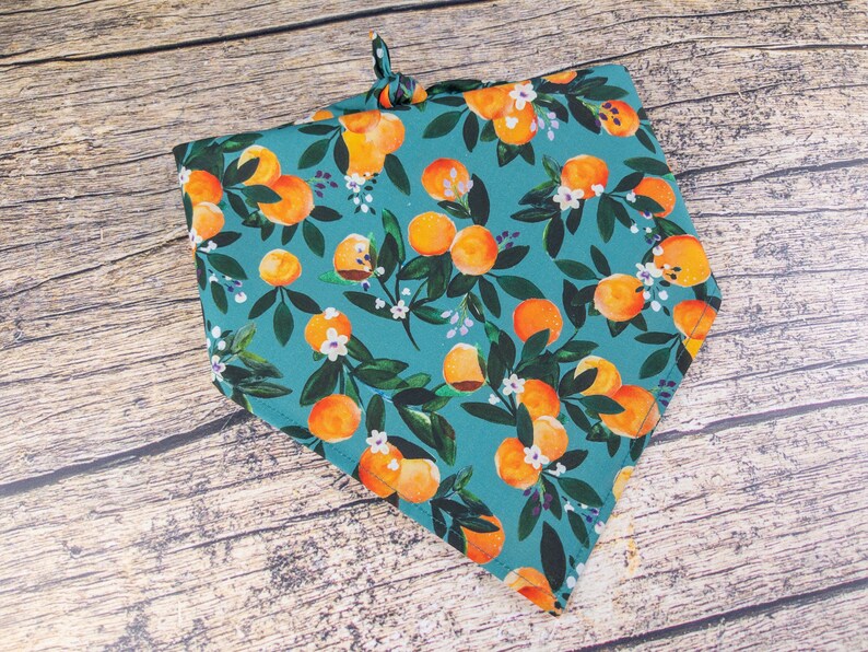 May include: A teal blue bandana with a white and orange floral print featuring oranges and leaves.