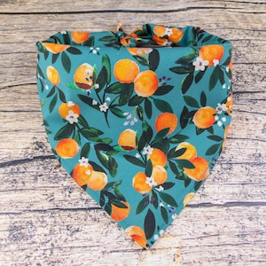 May include: A teal blue bandana with a pattern of orange citrus fruit and white flowers. The bandana is folded into a triangle shape.
