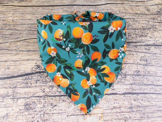 Summer Oranges Dog Bandana Teal | Tie On Dog Scarf | Peach Dog Bandana | Boho Dog Accessory | Cottagecore Dog Scarf | Fruit Dog Accessory