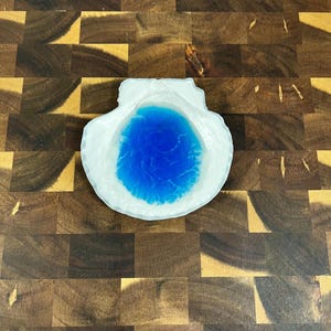 May include: A white seashell-shaped dish with a blue resin interior. The dish is on a wooden surface.