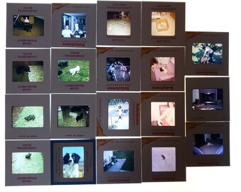 HTF Vintage 1967 Scenic Color Slides Idaho Lake Coeur d/'Alene Tourist Souvenir Photos Kodachrome GAF Film