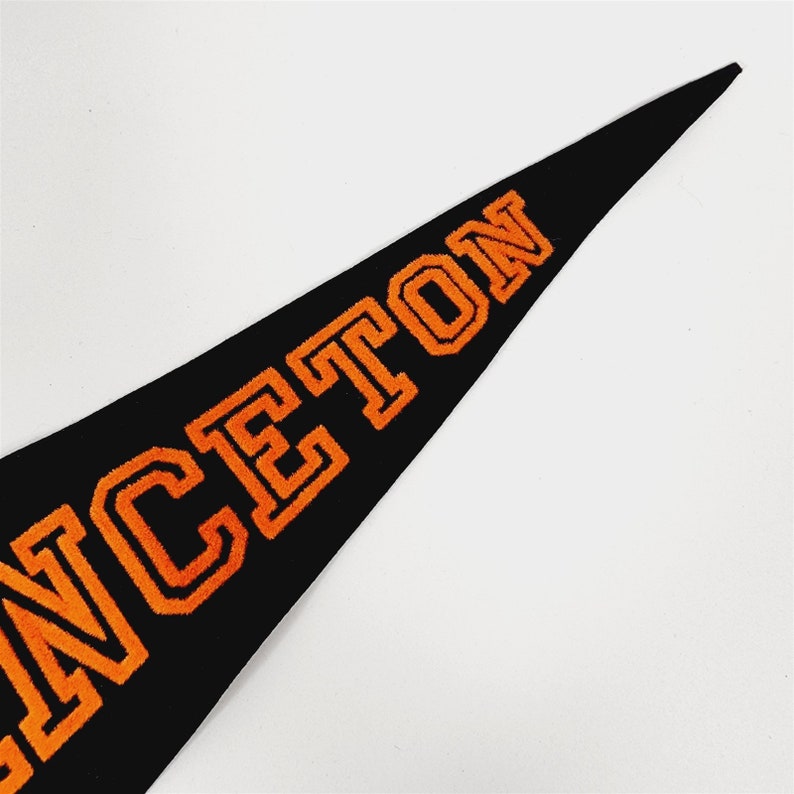 Vintage Felt College Pennant Princeton Collegiate Ames 28 1/2