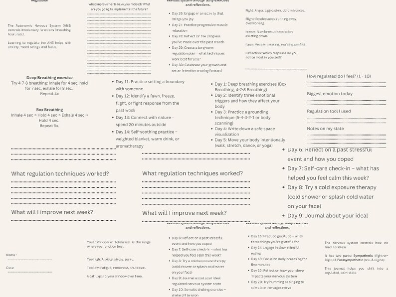Nervous System Regulation Journal + 30 Quick & Effective Self ...