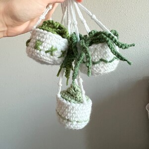 PATTERN with VIDEO - Hanging Plant Trio Amigurumi Stuffed Toy, Beginner Friendly, Kawaii Plushie, PDF, Step by Step Stitch Guide