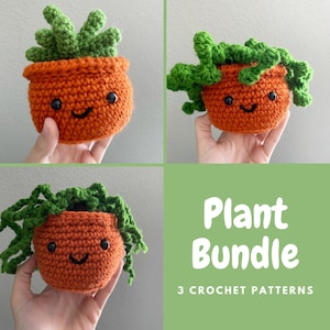 Crochet Plant Pattern Bundle - String of Pearls, Vine, and Succulent Patterns