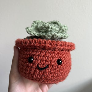 CROCHET PATTERN and VIDEO for Beginners, Crochet Plant, Easy Crochet Succulent, Amigurumi for New Crocheters, Kawaii, Easy, Basic Pattern