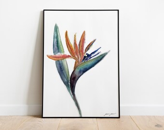 Fine art Watercolour print poster, tropical plant bird of paradise flower, strelitzia