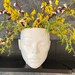 Head Planter female "Nature" pot face wall hang table . Decorative unique plaster wall art concrete impression eco friendly